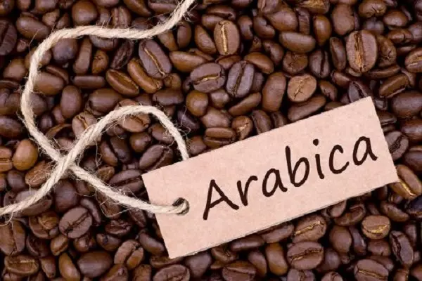 meo-pha-ca-phe-arabica-ngon