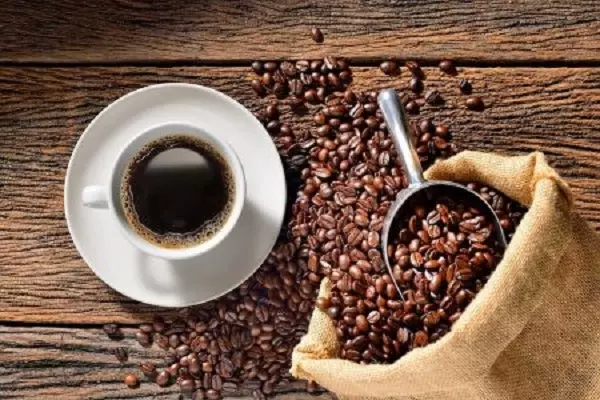 cach-pha-ca-phe-arabica